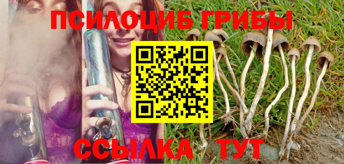Псилоцибиновые грибы GOLDEN TEACHER Новокузнецк