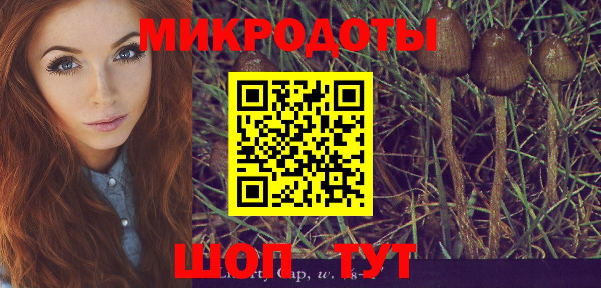Галлюциногенные грибы мицелий  Вход с VPN  Новокузнецк 